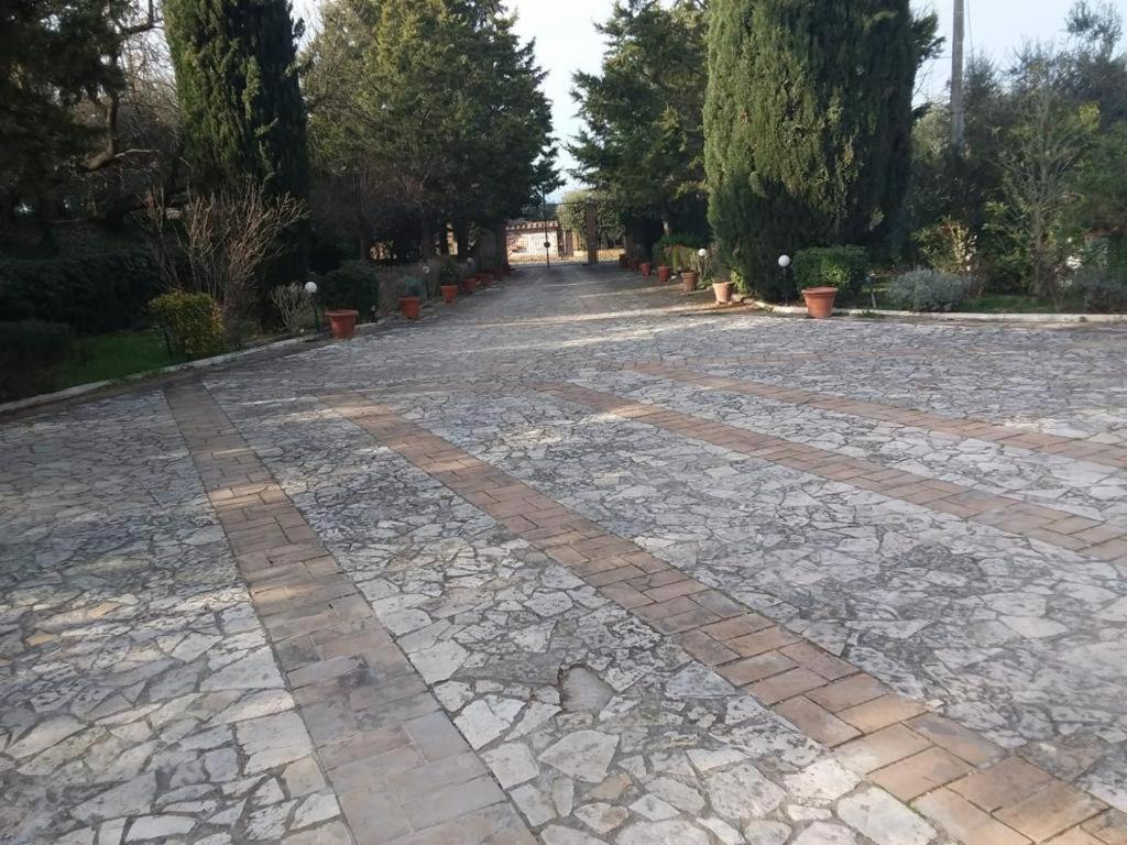 Trasimeno 2 Apartment Casamaggiore Ngoại thất bức ảnh